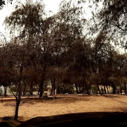 Al Nuaimi Mosque - Ajman