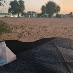 Al Tallah Camel Race Track - Ajman