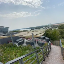 Al Zorah Nature Reserve - Ajman