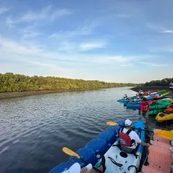 Al Zorah Nature Reserve - Ajman