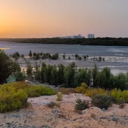 Al Zorah Nature Reserve - Ajman