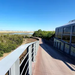 Al Zorah Nature Reserve - Ajman