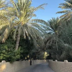 Al Ain Oasis - Al Ain