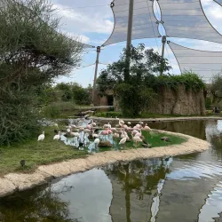 Al Dhaid Desert Safari - Al Dhaid