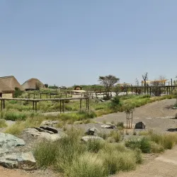 Al Dhaid Desert Safari - Al Dhaid