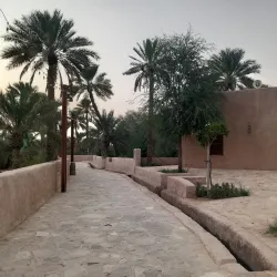 Al Dhaid Oasis - Al Dhaid