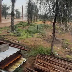 Al Dhaid Oasis - Al Dhaid