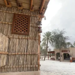Al Dhaid Oasis - Al Dhaid