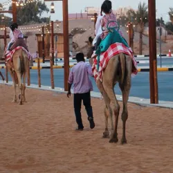 Al Dhaid Souk - Al Dhaid