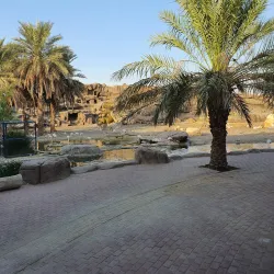 Sharjah Desert Park - Al Dhaid