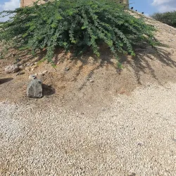 Al Bidya Mosque - Al Fujayrah