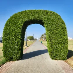 Kalba Corniche - Al Fujayrah