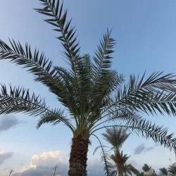 Kalba Corniche - Al Fujayrah