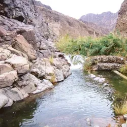 Wadi Wurayah National Park - Al Fujayrah