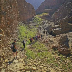 Wadi Wurayah National Park - Al Fujayrah