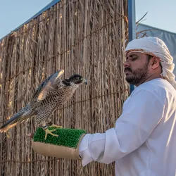 Al Dhafra Festival - Al Gharbia