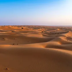 Al Gharbia Desert Wildlife Reserve - Al Gharbia