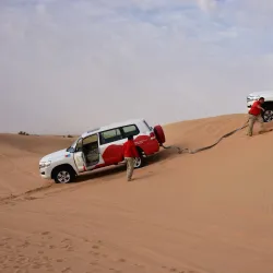 Al Gharbia Desert Wildlife Reserve - Al Gharbia