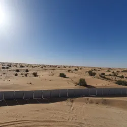 Al Gharbia Desert Wildlife Reserve - Al Gharbia