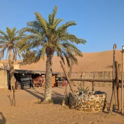 Al Gharbia Desert Wildlife Reserve - Al Gharbia