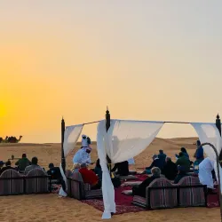 Al Gharbia Desert Wildlife Reserve - Al Gharbia