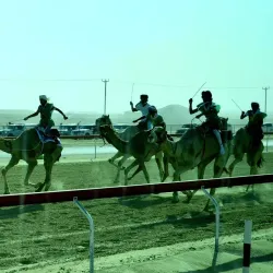 Camel Racing Tracks - Al Gharbia