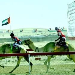 Camel Racing Tracks - Al Gharbia