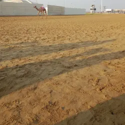Camel Racing Tracks - Al Gharbia