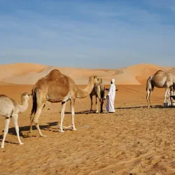 Liwa Oasis - Al Gharbia