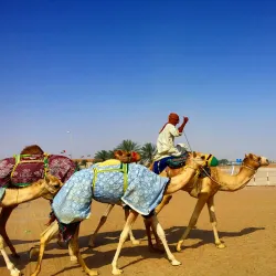 Liwa Oasis - Al Gharbia