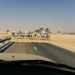 Liwa Oasis - Al Gharbia