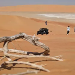 Liwa Oasis - Al Gharbia