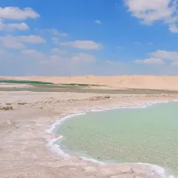 Sabkha Wetlands - Al Gharbia
