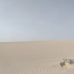 Sabkha Wetlands - Al Gharbia