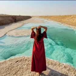 Sabkha Wetlands - Al Gharbia