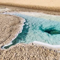 Sabkha Wetlands - Al Gharbia