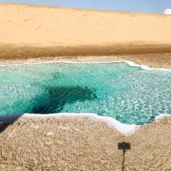 Sabkha Wetlands - Al Gharbia