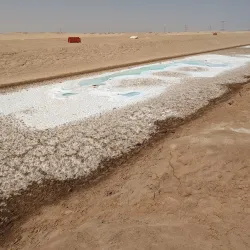 Sabkha Wetlands - Al Gharbia