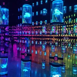 Dubai Museum - Dubai