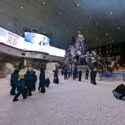 Ski Dubai - Dubai