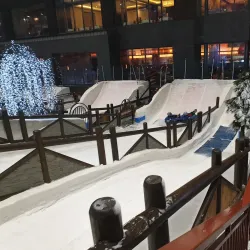 Ski Dubai - Dubai