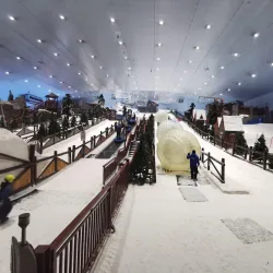 Ski Dubai - Dubai