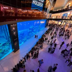 The Dubai Mall - Dubai