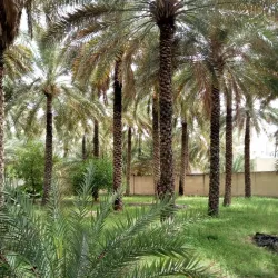 Hajar Mountains - Fujairah