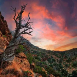 Hajar Mountains - Fujairah