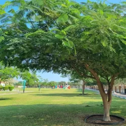 Madhab Hot Springs - Fujairah