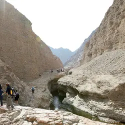 Wadi Wurayah National Park - Fujairah