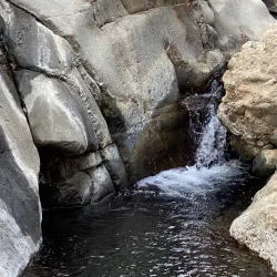 Wadi Wurayah National Park - Fujairah