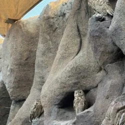 Al Hefaiyah Mountain Conservation Centre - Kalba