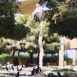 Al Qurm Nature Reserve - Kalba